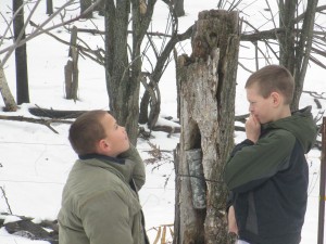 IMG_1916