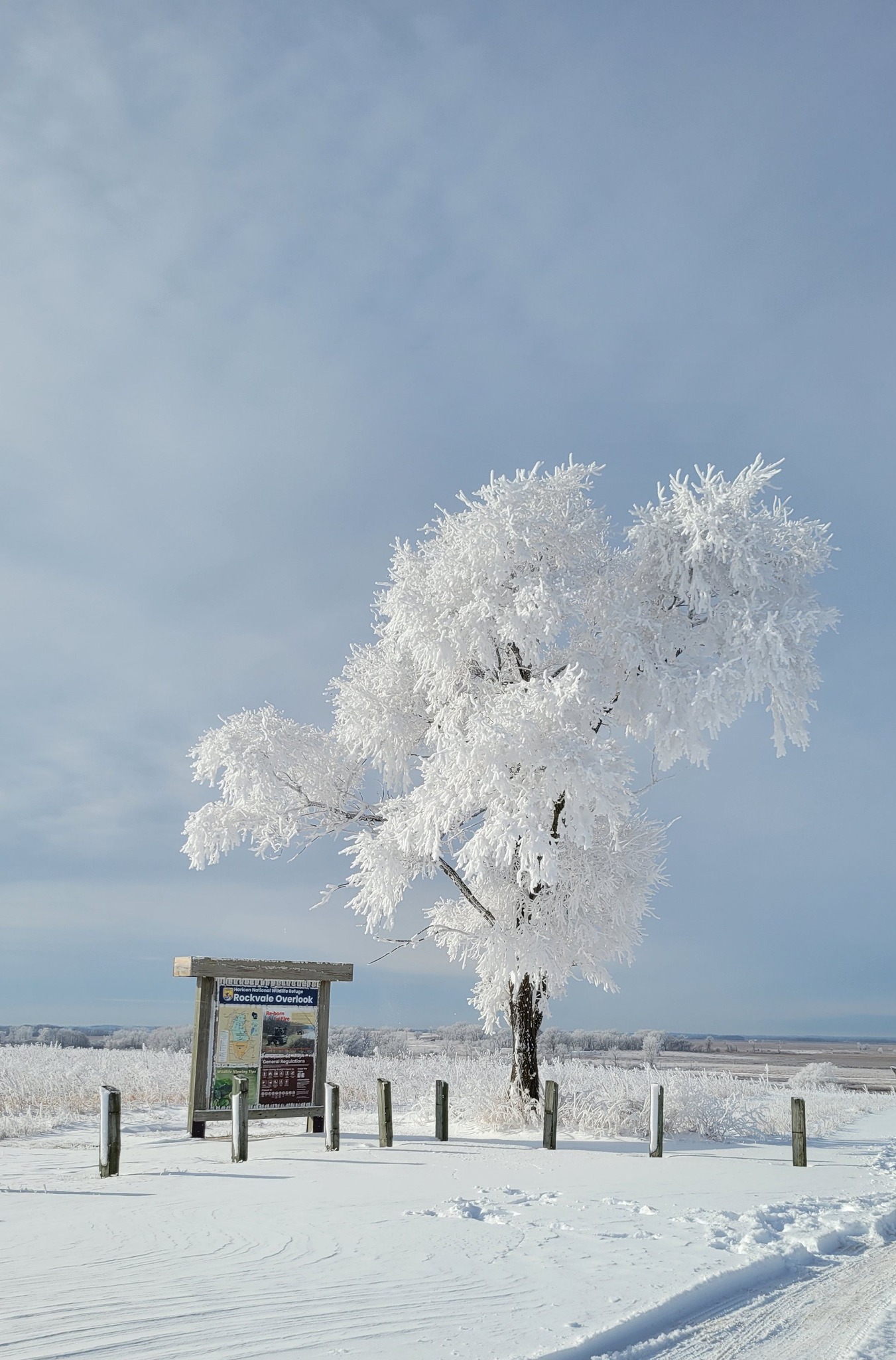 December 2025 POTM Winner