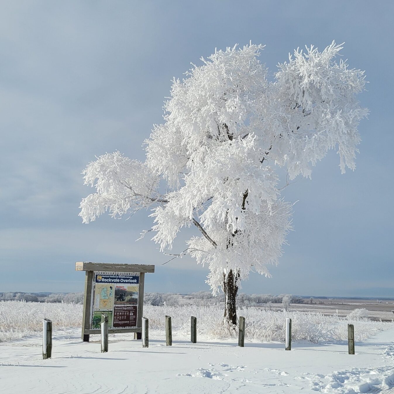 December 2025 POTM Winner